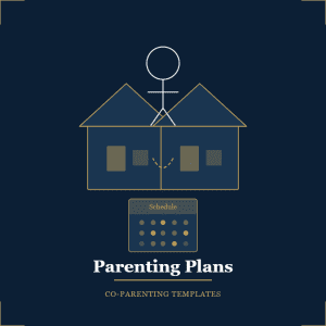 Instant Download Platinum High-Conflict 50/50 Parenting Plan Template